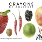 Illustration botanique