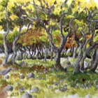 L'île ikaria • stage de dessin en grèce