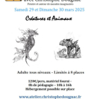Atelier initiation dessin : animaux