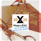 Stage d'estampe 2025