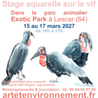 Stage aquarelle sur le vif dans un parc animlier