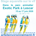 Stage aquarelle sur le vif, dans un parc animalier