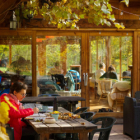 Initiation à l'aquarelle en atelier