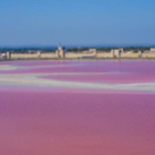 Stage 3 jours carnet de voyage en camargue