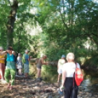 association_etilesum