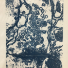 S'initier à la kitchen lithographie