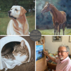 Stage de pastel sec thème animalier avec michel bordas