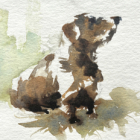 Animaleries et sumi-e