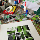 Exploration végétale – peinture et collage