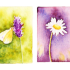 Mes premiers pas à l'aquarelle