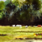 Le fonctionnement des pigments à l'aquarelle