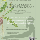 Yoga et dessin plantes sauvages