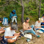 Dessin botanique et plantes sauvages