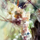 Valdieu-lutran (68) alsace (entre thann et belfort), stage joëlle krupa