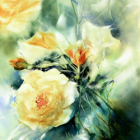 Saint martin des champs (breizh aquarelle morlaix 29) stage joëlle krupa