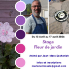 Stage mosaïque fleur de jardin
