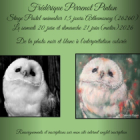 Stage pastel animalier 