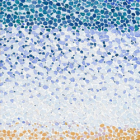 Tout en éclats printaniers