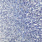 Une rentrée dans tous ses éclats