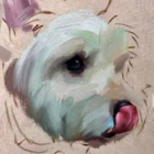 Stage de peinture portrait de mon animal de compagnie
