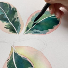 Stage aquarelle 