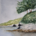 Stage aquarelle adultes - adolescents