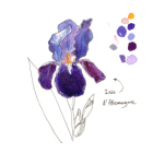 Atelier aquarelle en plein air à l'iriseraie de kuttolsheim