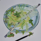 Aquarelle et dessin botanique en luberon automne 2026 - 2 jours