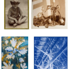 Cyanotype : initiation aux procédés photographiques anciens