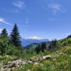 Stage aquarelle haute-savoie (5 jours)