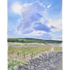 Initiation et découverte de l'aquarelle...
