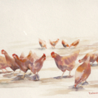 Cours d'aquarelle tous niveaux