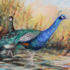 Dessin au crayon pastel