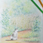 Stage dessin/peinture