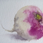 Decouverte de l'aquarelle