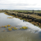 Stage carnet de voyage, entre marais et villages près de mornac-sur-seudre (17)