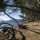 Saint-mandrier - sentier littoral - initiation au carnet de voyage