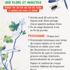 Croquis, linogravure et botanique autour de la flore et des insectes