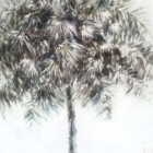 Carnet de voyage sur l'île de ré et hébergement petit prix 100m de la mer