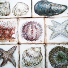 Carnet de voyage sur l'île de ré et hébergement petit prix 100m de la mer