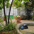 Stage de dessin en couleur au parc de la tête d'or