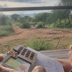 Safari carnet de voyage