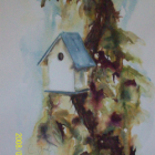 Stage d'aquarelle 2026  spécial  