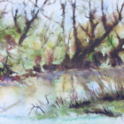 Stage d'aquarelle 2026  spécial  