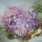 Stage d'aquarelle 2026 spécial 