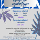 Initiation à la technique du cyanotype végétal