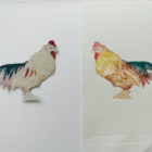 Stage gravure sur tetrapak