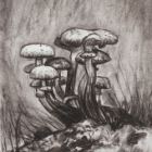 Stage techniques sèches