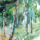 Stage carnet de voyage de vouvant à l'océan (85)