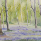 Cours d'aquarelle à quiéry-la-motte – débutants, intermédiaires et avancés